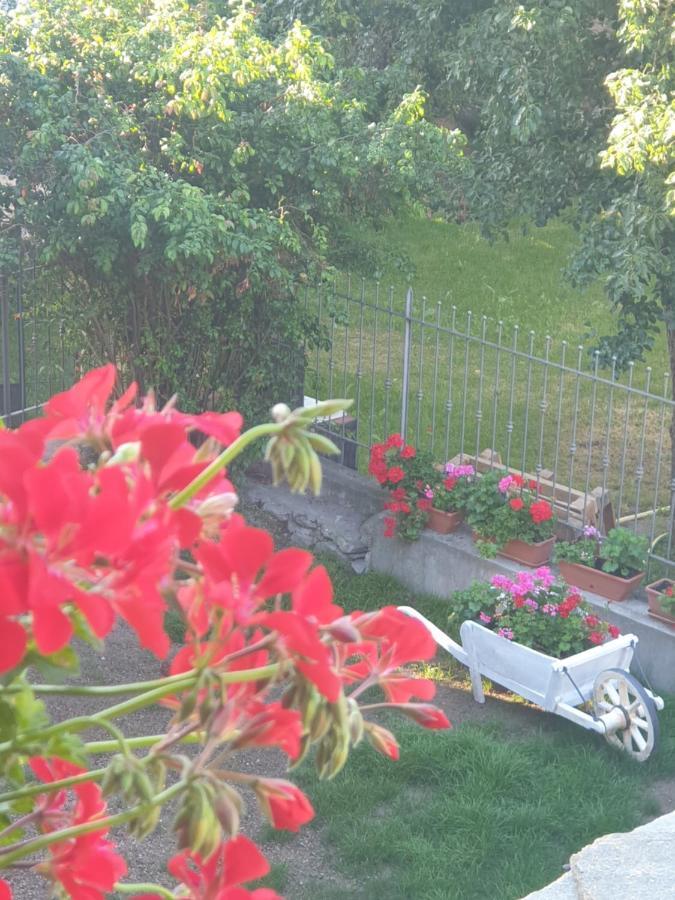 Bed and Breakfast Antica casa occitana Sampeire Exterior foto